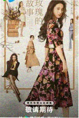 海贼王在线观看免费完整版 特别篇